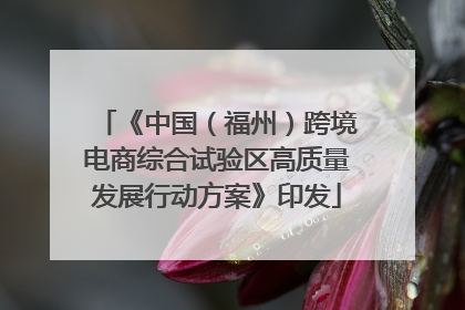 《中国（福州）跨境电商综合试验区高质量发展行动方案》印发