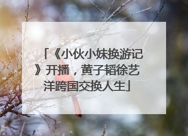 《小伙小妹换游记》开播，黄子韬徐艺洋跨国交换人生