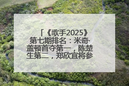 《歌手2025》第七期排名：米奇·盖顿首夺第一，陈楚生第二，郑欣宜将参加下一轮张榜赛
