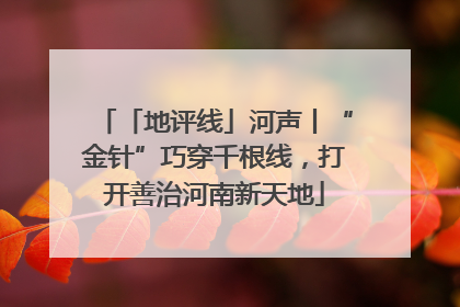 「地评线」河声丨“金针”巧穿千根线，打开善治河南新天地