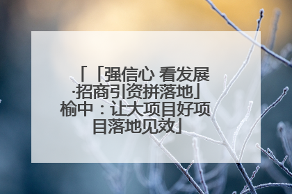 「强信心 看发展·招商引资拼落地」榆中：让大项目好项目落地见效