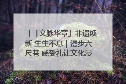 「文脉华章」非遗焕新 生生不息｜漫步六尺巷 感受礼让文化浸润的“巷”往生活