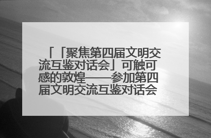 「聚焦第四届文明交流互鉴对话会」可触可感的敦煌——参加第四届文明交流互鉴对话会的外宾参观上元市集