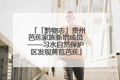 「黔物志」贵州芭蕉家族新增成员——习水自然保护区发现黄苞芭蕉