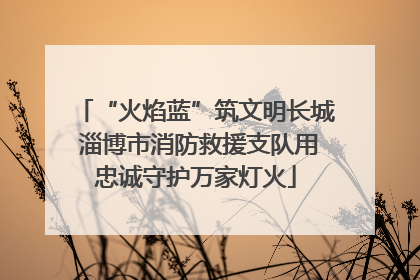 “火焰蓝”筑文明长城 淄博市消防救援支队用忠诚守护万家灯火