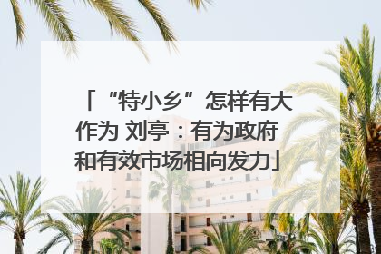 “特小乡”怎样有大作为 刘亭：有为政府和有效市场相向发力
