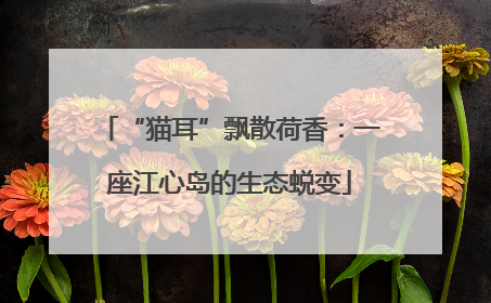 “猫耳”飘散荷香：一座江心岛的生态蜕变