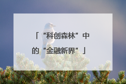 “科创森林”中的“金融新界”