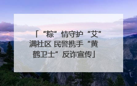 “粽”情守护“艾”满社区 民警携手“黄鹤卫士”反诈宣传