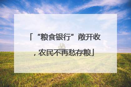 “粮食银行”敞开收，农民不再愁存粮