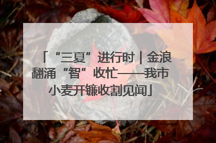 “三夏”进行时｜金浪翻涌“智”收忙——我市小麦开镰收割见闻