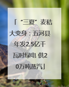 “三夏”麦秸大变身：五河县年发2.5亿千瓦时绿电 供20万吨蒸汽