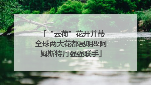“云荷”花开并蒂 全球两大花都昆明&阿姆斯特丹强强联手