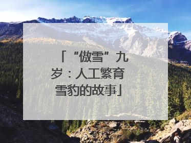 “傲雪”九岁：人工繁育雪豹的故事