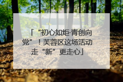 “初心如炬·青创向党”！芙蓉区这场活动走“新”更走心