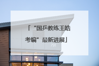 “国乒教练王皓考编”最新进展