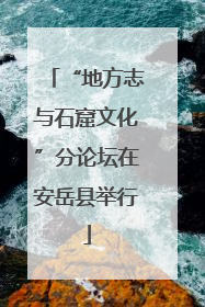 “地方志与石窟文化”分论坛在安岳县举行