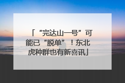 “完达山一号”可能已“脱单”！东北虎种群也有新喜讯