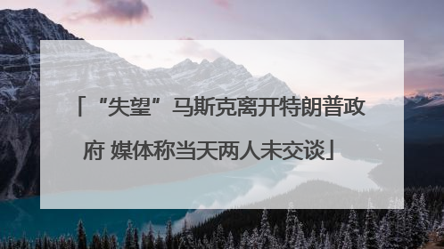 “失望”马斯克离开特朗普政府 媒体称当天两人未交谈