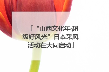 “山西文化年·超级好风光”日本采风活动在大同启动