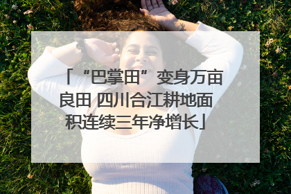 “巴掌田”变身万亩良田 四川合江耕地面积连续三年净增长
