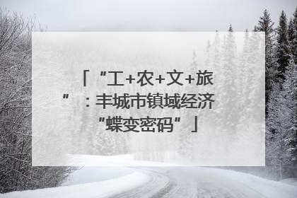 “工+农+文+旅”：丰城市镇域经济“蝶变密码”