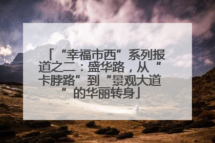 “幸福市西”系列报道之二：盛华路，从“卡脖路”到“景观大道”的华丽转身