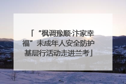 “枫调豫顺·汴家幸福”未成年人安全防护基层行活动走进兰考