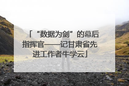 “数据为剑”的幕后指挥官——记甘肃省先进工作者牛学云