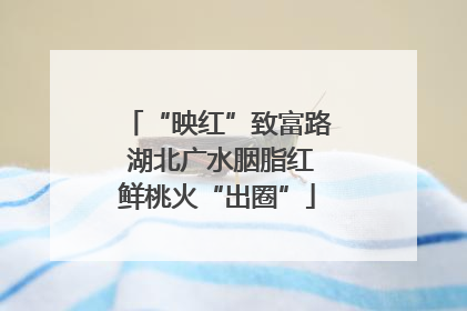 “映红”致富路 湖北广水胭脂红鲜桃火“出圈”