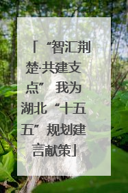 “智汇荆楚·共建支点” 我为湖北“十五五”规划建言献策