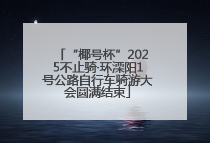 “椰号杯”2025不止骑·环溧阳1号公路自行车骑游大会圆满结束
