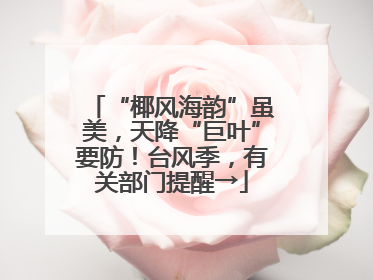 “椰风海韵”虽美，天降“巨叶”要防！台风季，有关部门提醒→