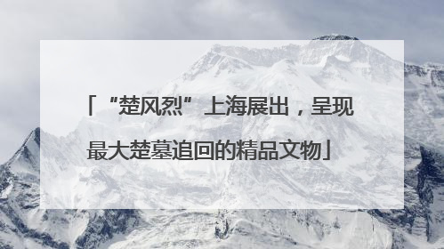 “楚风烈”上海展出，呈现最大楚墓追回的精品文物