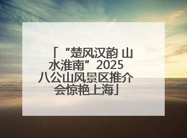 “楚风汉韵 山水淮南”2025八公山风景区推介会惊艳上海