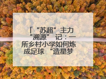 “苏超”主力 “溯源” 记：一所乡村小学如何炼成足球 “造星梦工场”