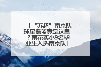 “苏超”南京队球星摇篮竟是这里？雨花实小9名毕业生入选南京队