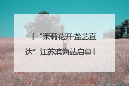 “茉莉花开·盐艺直达”江苏滨海站启幕