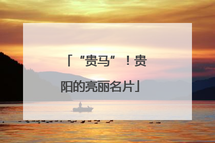 “贵马”！贵阳的亮丽名片