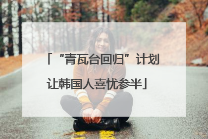 “青瓦台回归”计划让韩国人喜忧参半
