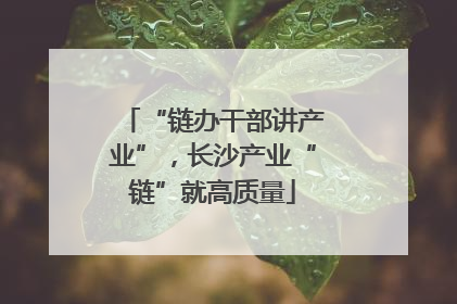 “链办干部讲产业”，长沙产业“链”就高质量