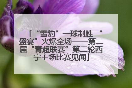 “雪豹”一球制胜 “盛宴”火爆全场——第二届“青超联赛”第二轮西宁主场比赛见闻