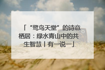 “鹭鸟天堂”的诗意栖居：绿水青山中的共生智慧丨有一说一
