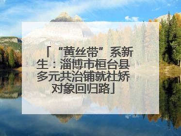 “黄丝带”系新生：淄博市桓台县多元共治铺就社矫对象回归路