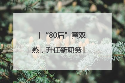 “80后”黄双燕，升任新职务