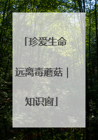 珍爱生命 远离毒蘑菇｜知识窗