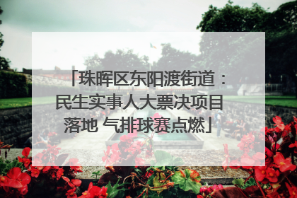 珠晖区东阳渡街道：民生实事人大票决项目落地 气排球赛点燃