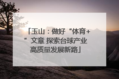 玉山：做好“体育+”文章 探索台球产业高质量发展新路