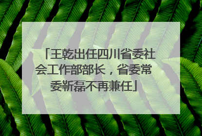 王乾出任四川省委社会工作部部长，省委常委靳磊不再兼任