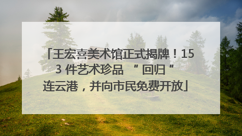 王宏喜美术馆正式揭牌！153 件艺术珍品 “ 回归 ” 连云港，并向市民免费开放